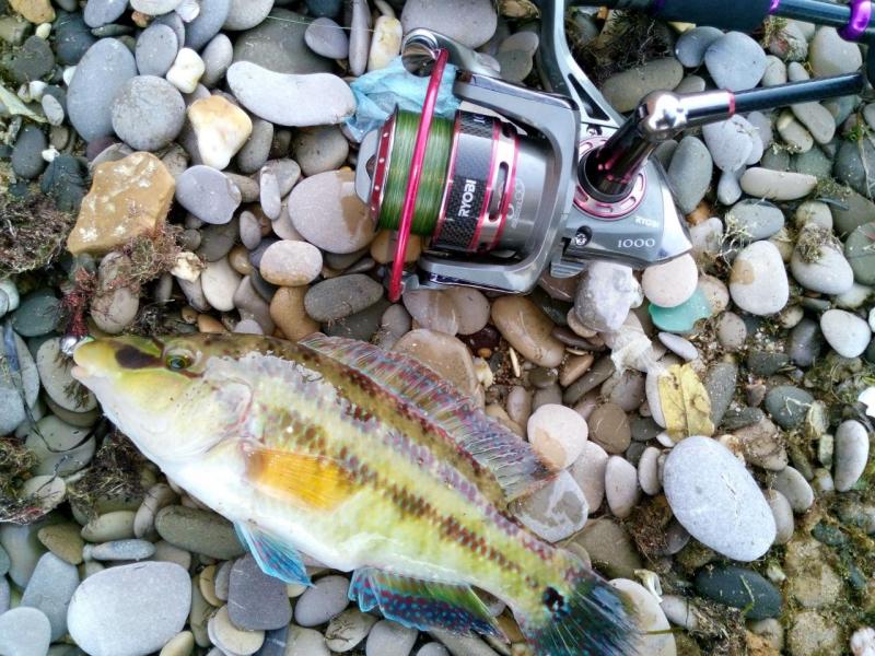 Прикрепленное изображение