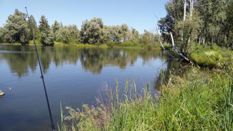 Прикрепленное изображение