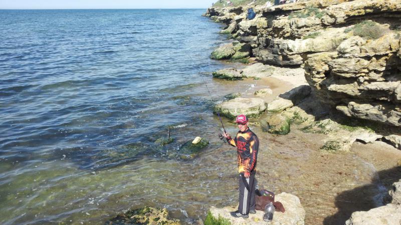 Прикрепленное изображение