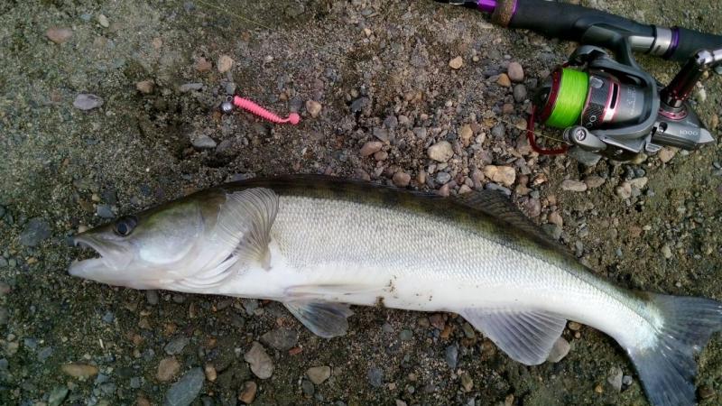 Прикрепленное изображение