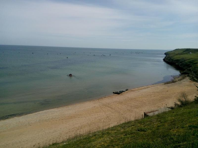 Прикрепленное изображение