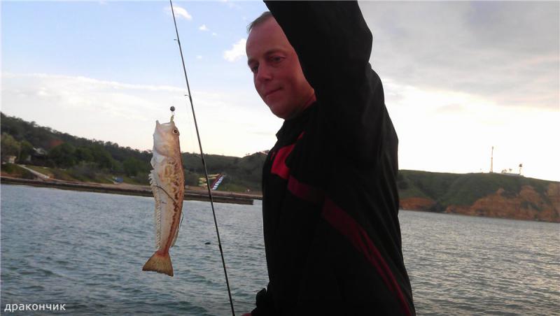 Прикрепленное изображение