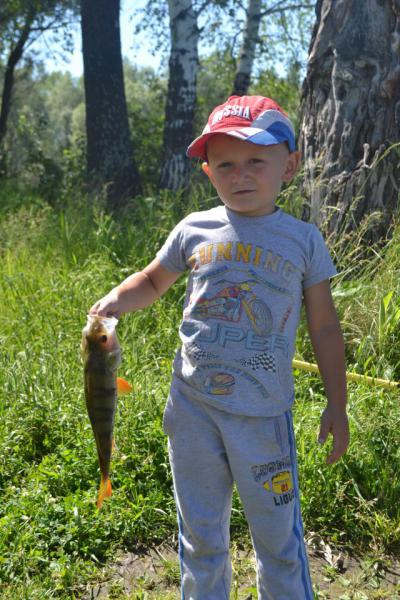 Прикрепленное изображение