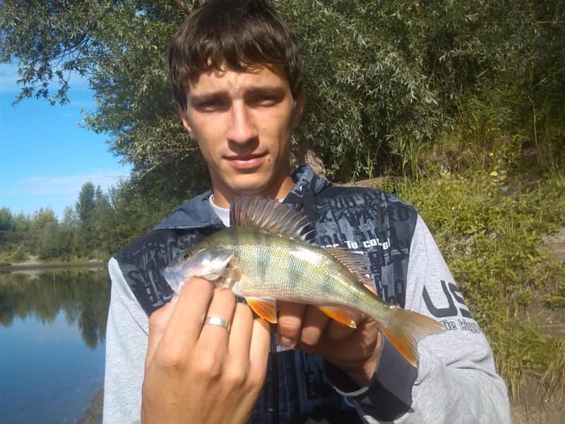 Прикрепленное изображение