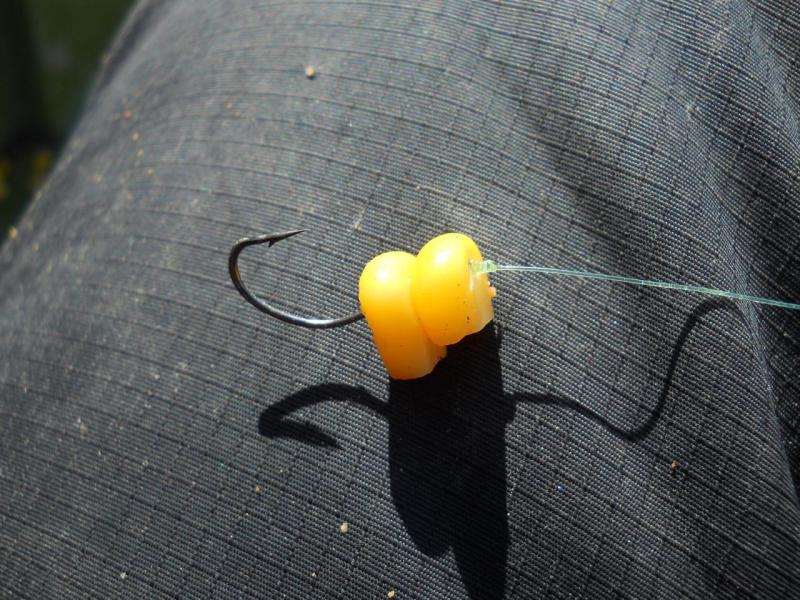 Прикрепленное изображение