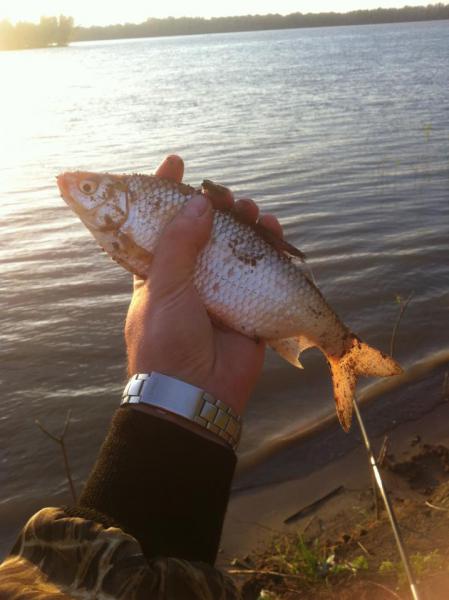 Прикрепленное изображение