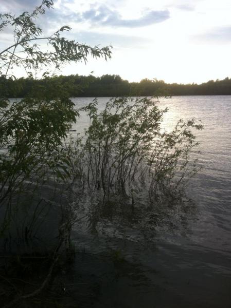 Прикрепленное изображение