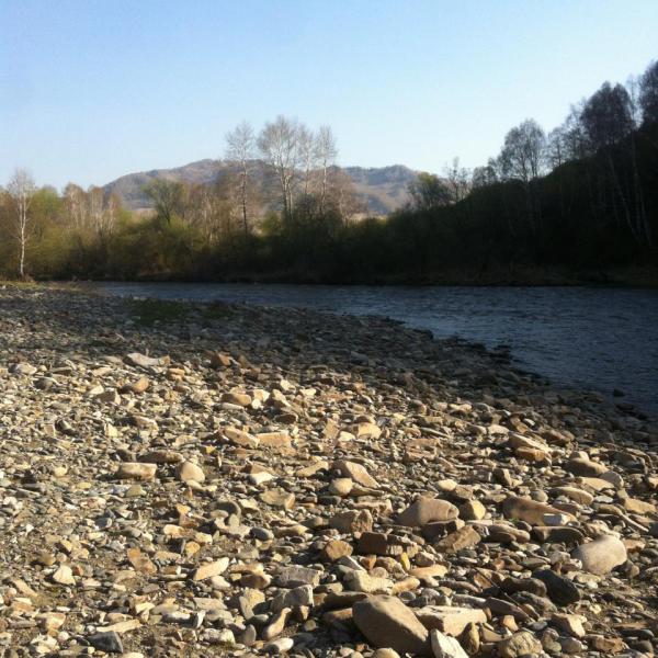 Прикрепленное изображение