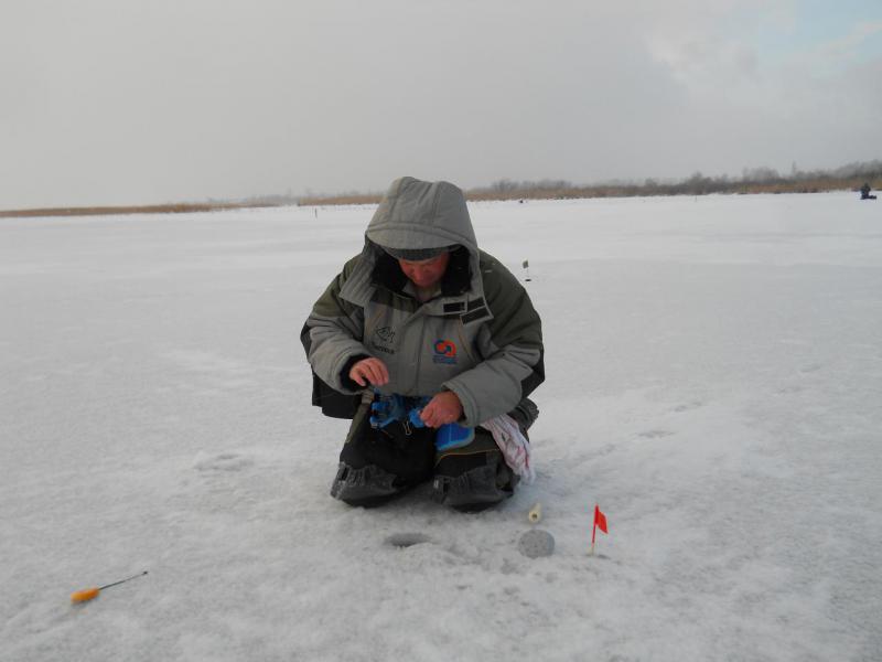 Прикрепленное изображение