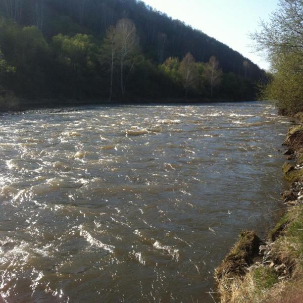 Прикрепленное изображение