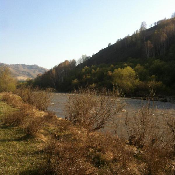 Прикрепленное изображение