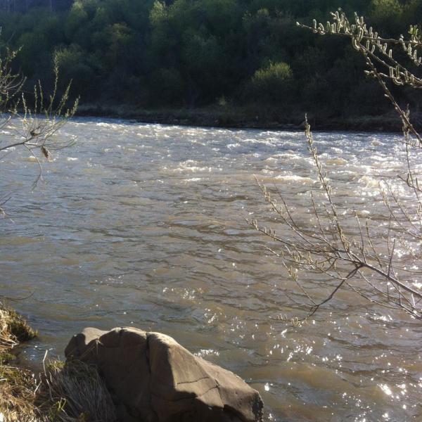 Прикрепленное изображение