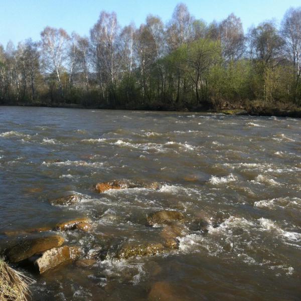 Прикрепленное изображение