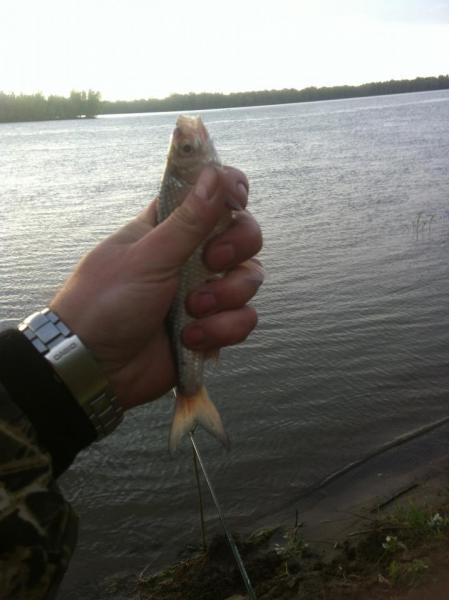 Прикрепленное изображение