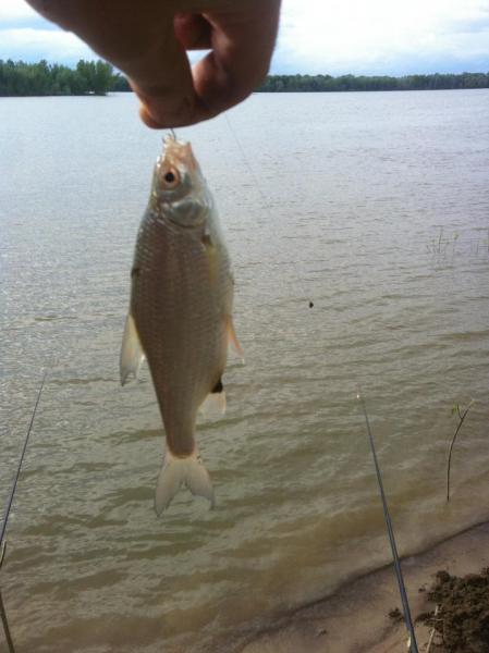 Прикрепленное изображение