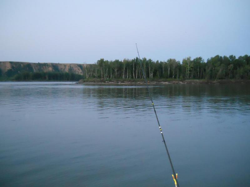 Прикрепленное изображение