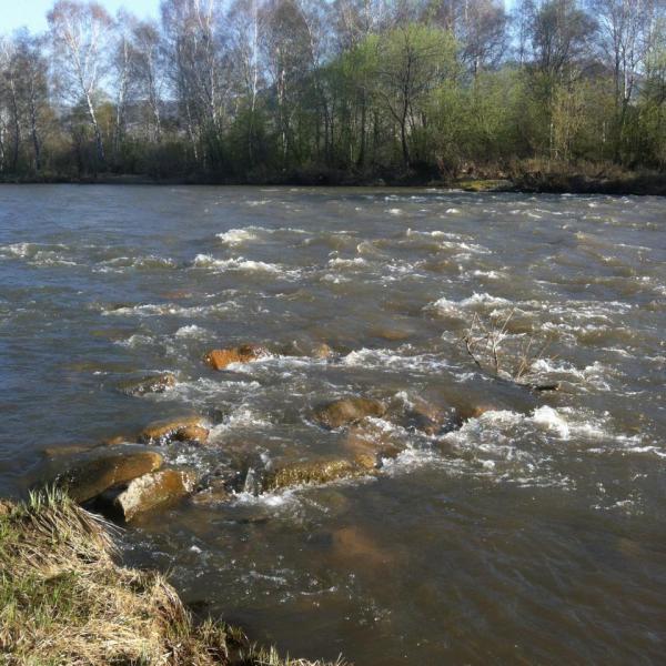 Прикрепленное изображение