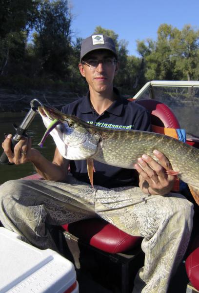 Прикрепленное изображение