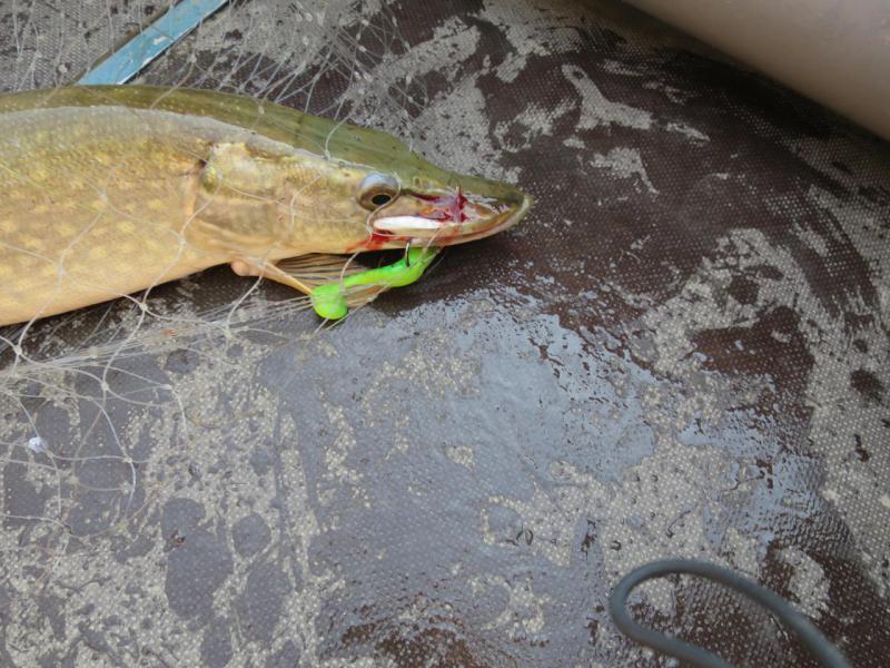 Прикрепленное изображение