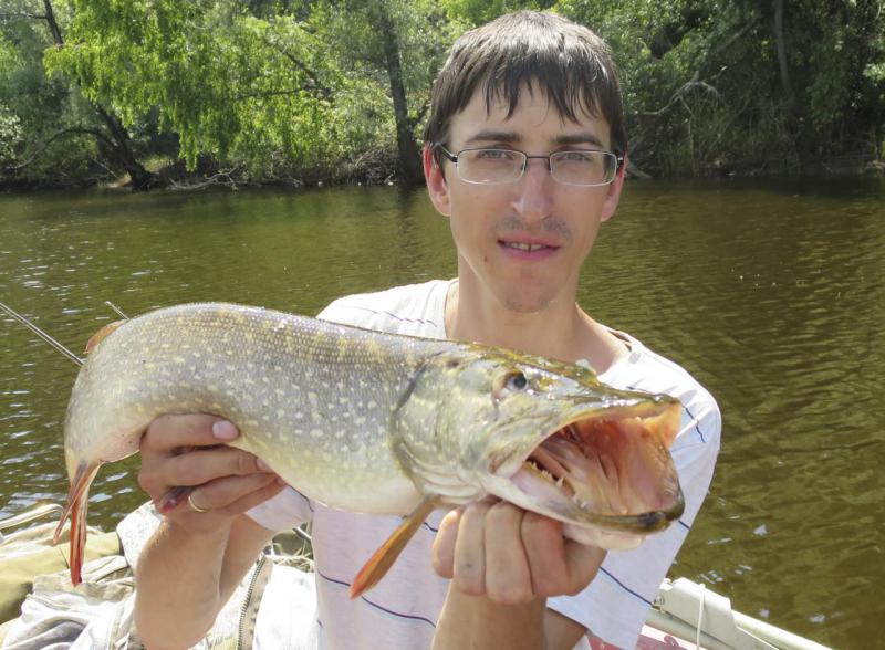 Прикрепленное изображение