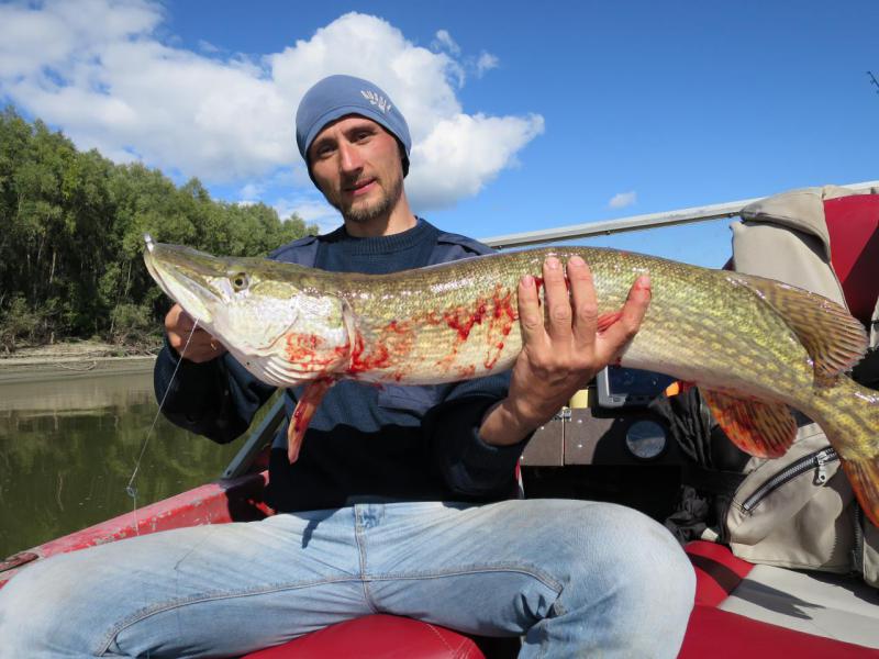 Прикрепленное изображение