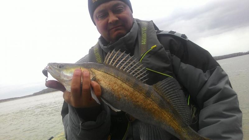 Прикрепленное изображение