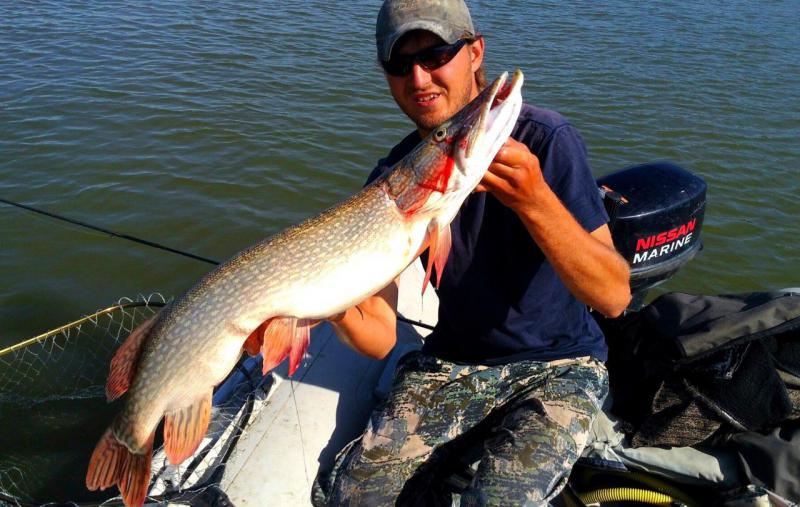 Прикрепленное изображение