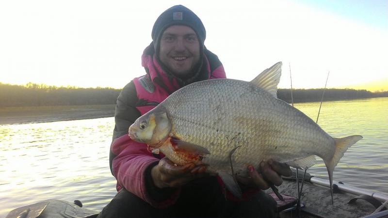 Прикрепленное изображение