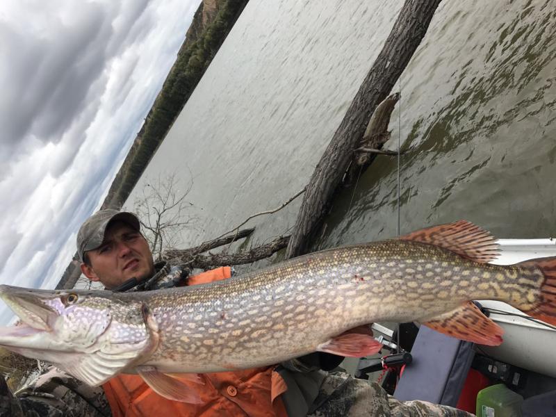 Прикрепленное изображение