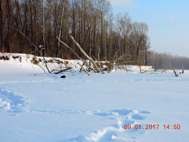 Прикрепленное изображение