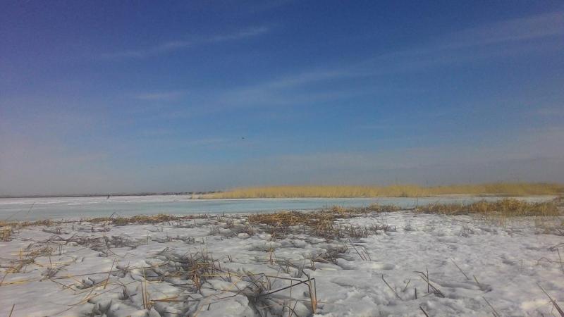 Прикрепленное изображение