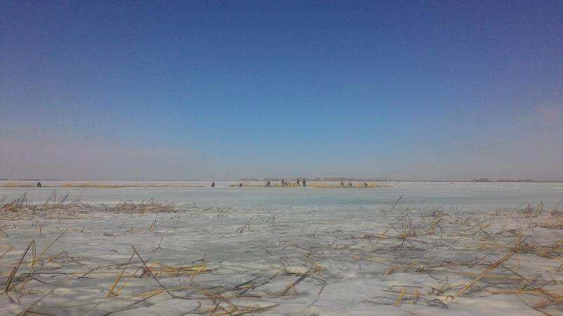 Прикрепленное изображение