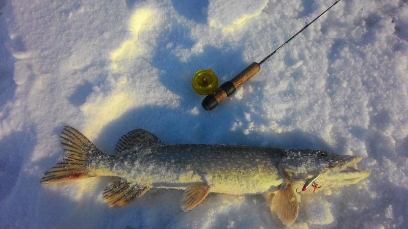 Прикрепленное изображение