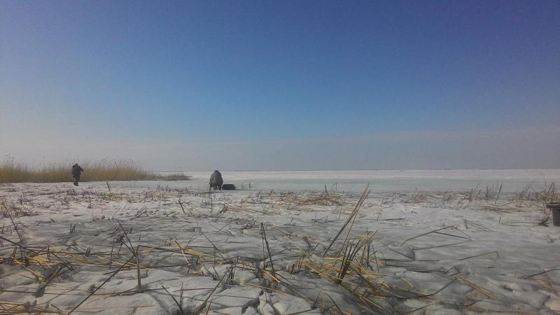 Прикрепленное изображение