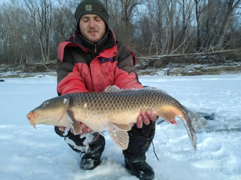 Прикрепленное изображение