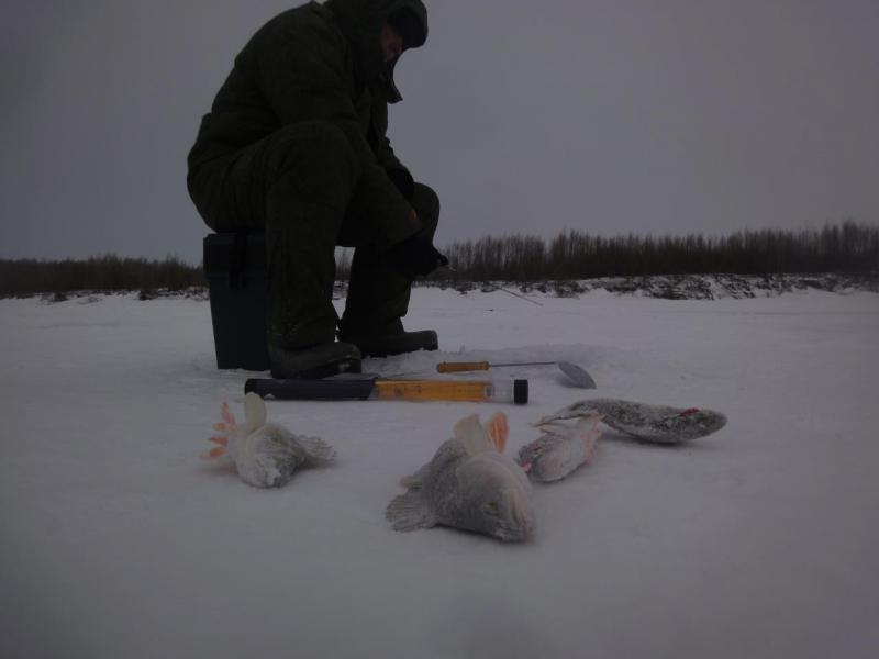 Прикрепленное изображение