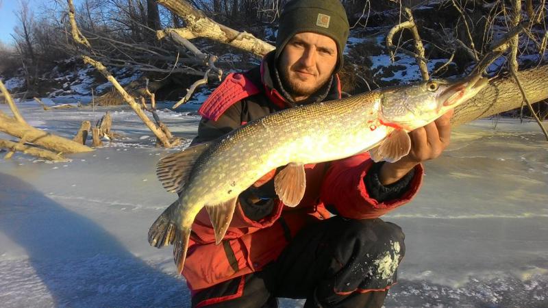 Прикрепленное изображение