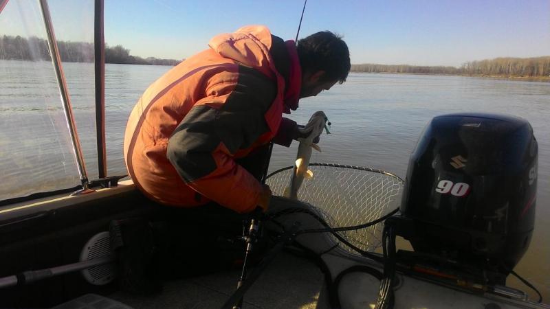 Прикрепленное изображение