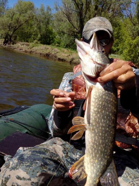 Прикрепленное изображение