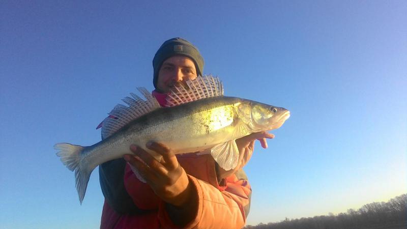 Прикрепленное изображение