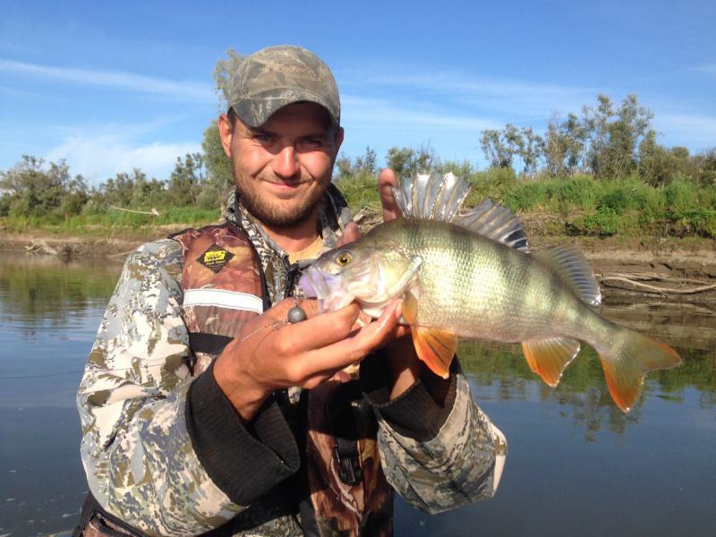 Прикрепленное изображение