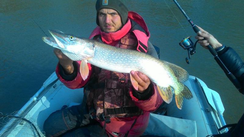 Прикрепленное изображение