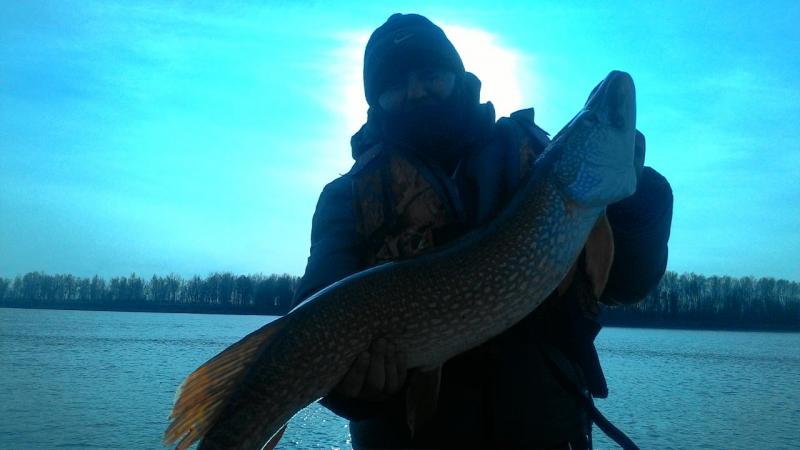 Прикрепленное изображение