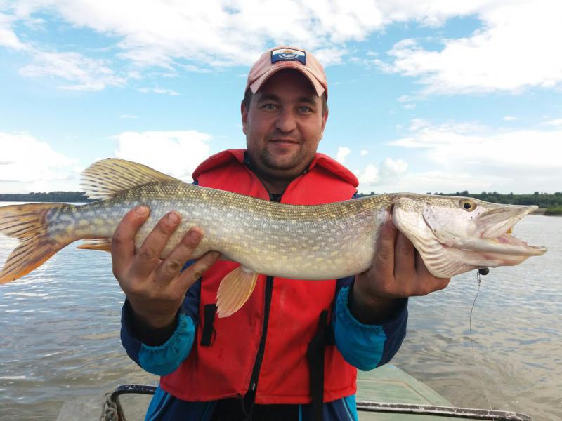 Прикрепленное изображение