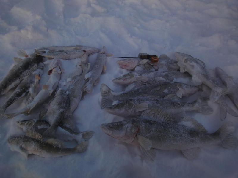 Прикрепленное изображение