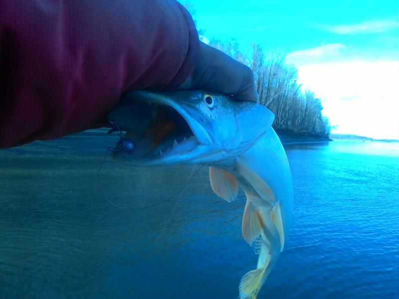 Прикрепленное изображение