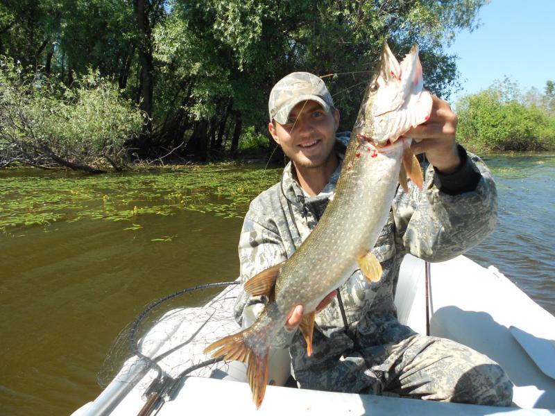 Прикрепленное изображение