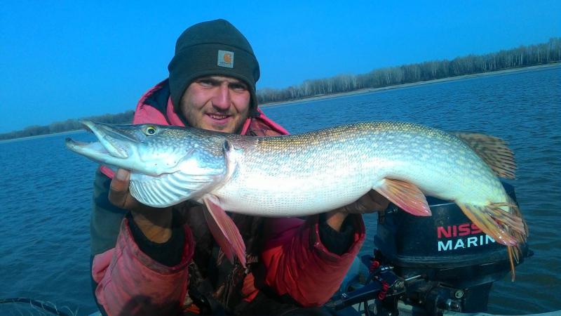 Прикрепленное изображение