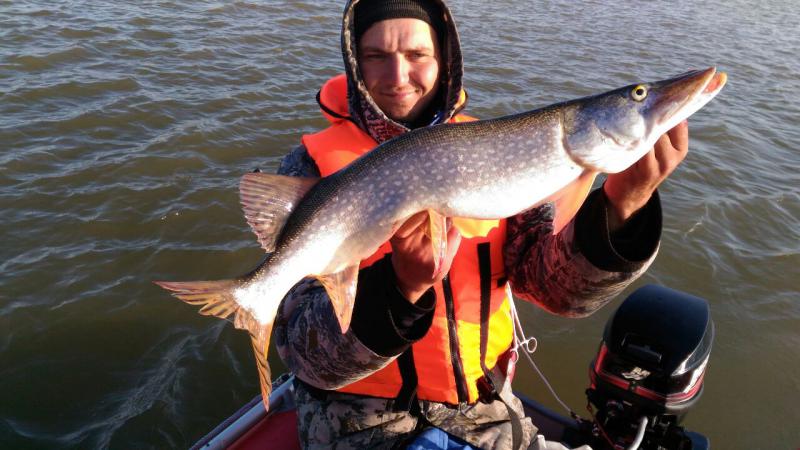 Прикрепленное изображение