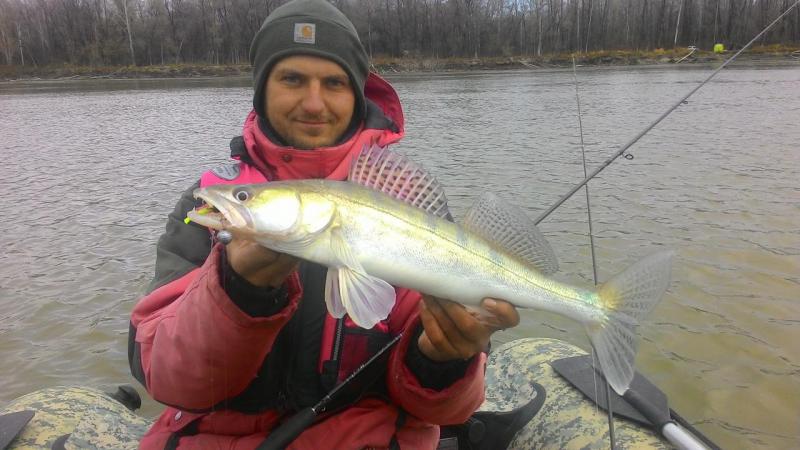 Прикрепленное изображение